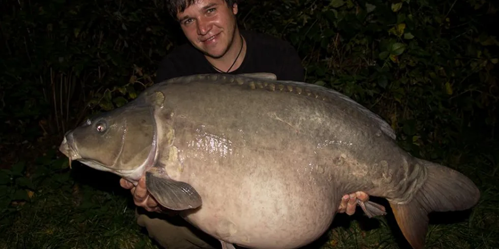 Říjen s ANGRY PLUM,část 2