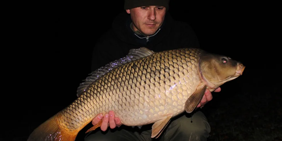 Honzovo podzimní snažení