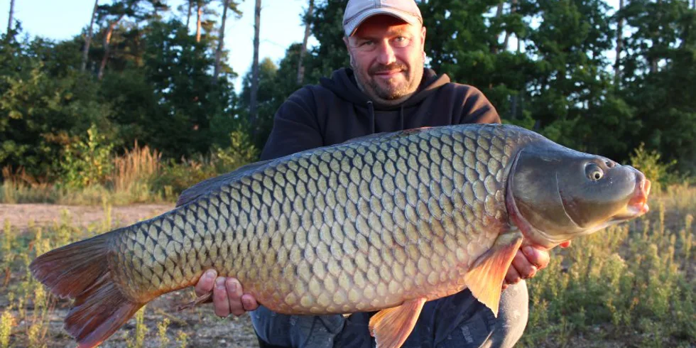 Pózdní léto Barbieho