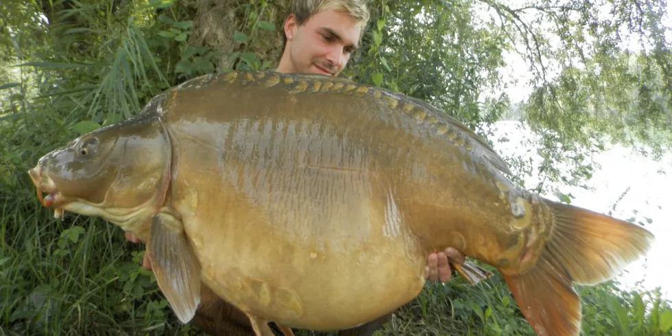 Jedna zapomenutá od Honzy Hučka...