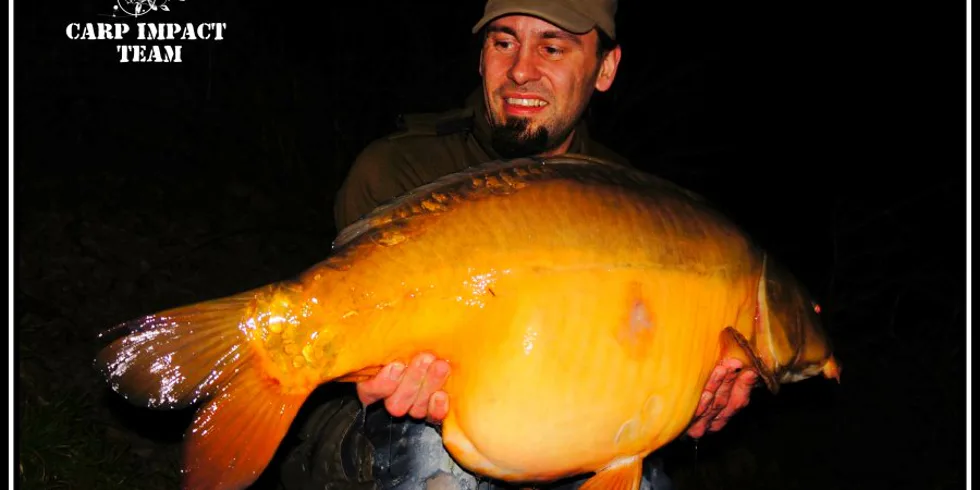 Skvrnka - opětovné shledání