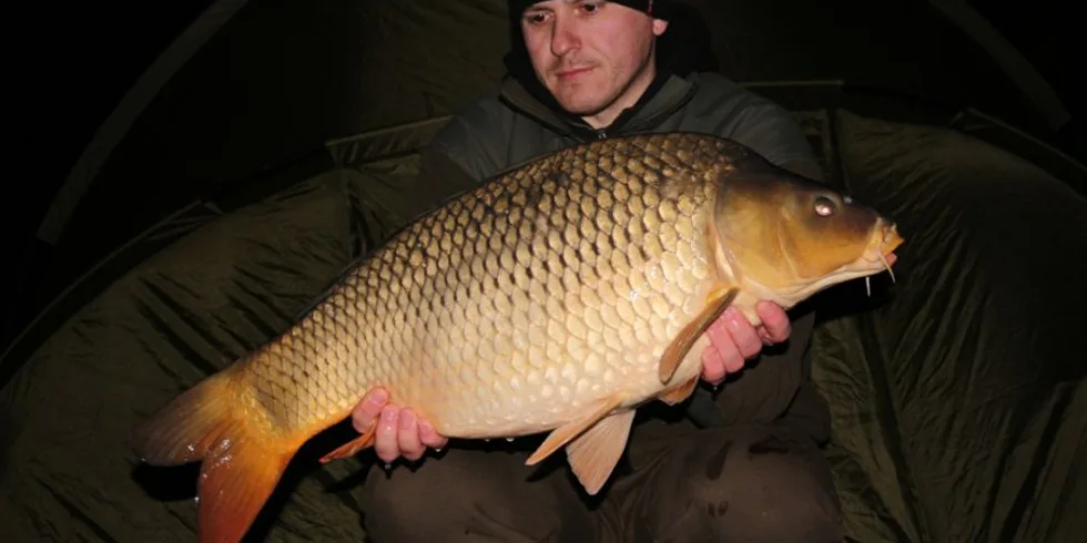 Honzovy první úspěchy