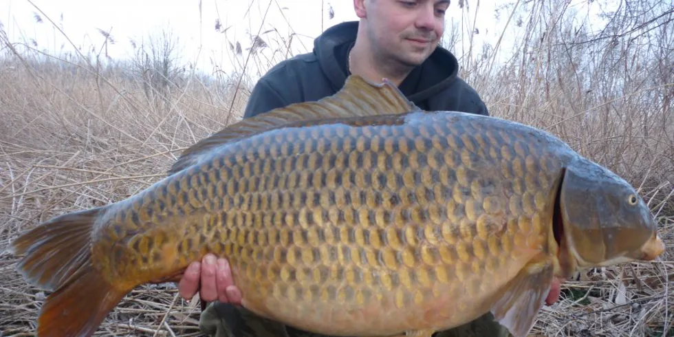 Velikonoční nadílka pro Pinpongáče