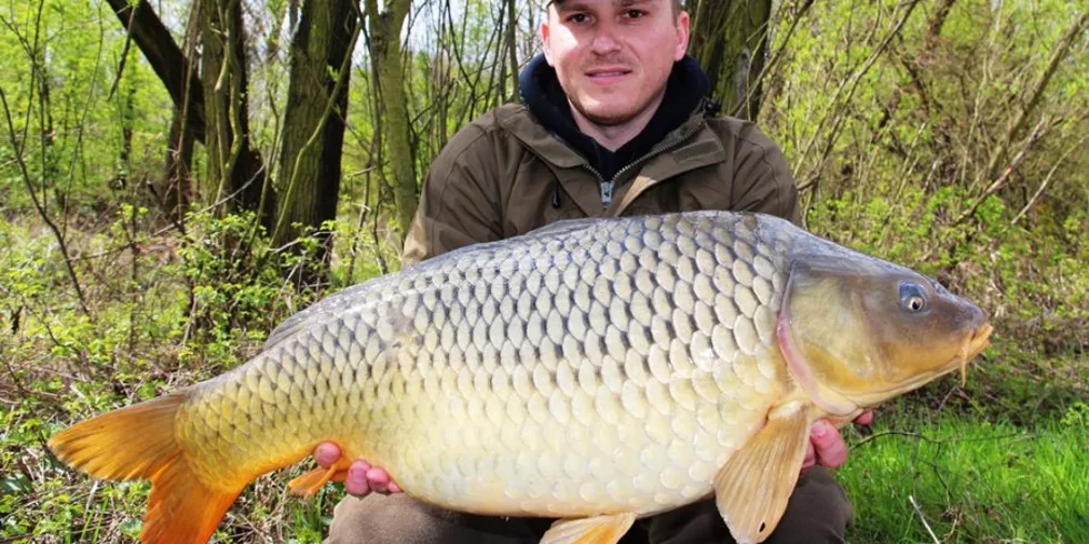 Dubnoví kapři z mělčin – část I.