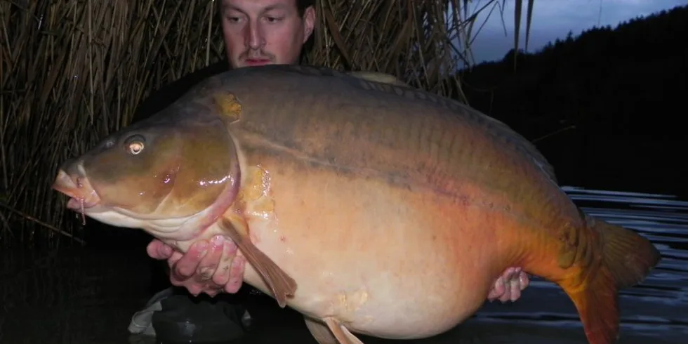 Na té švestce něco bude !