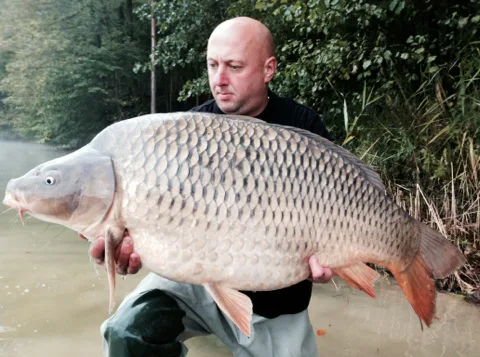 Jít vlastní cestou