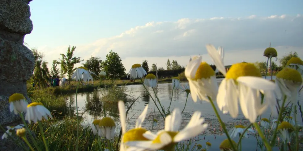 Pozvánka na tábory!