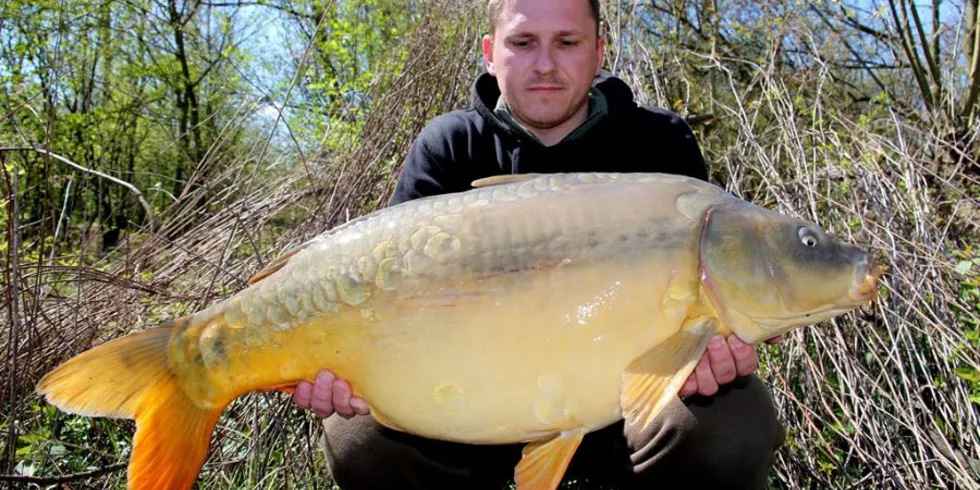 Dubnoví kapři z mělčin-část II.