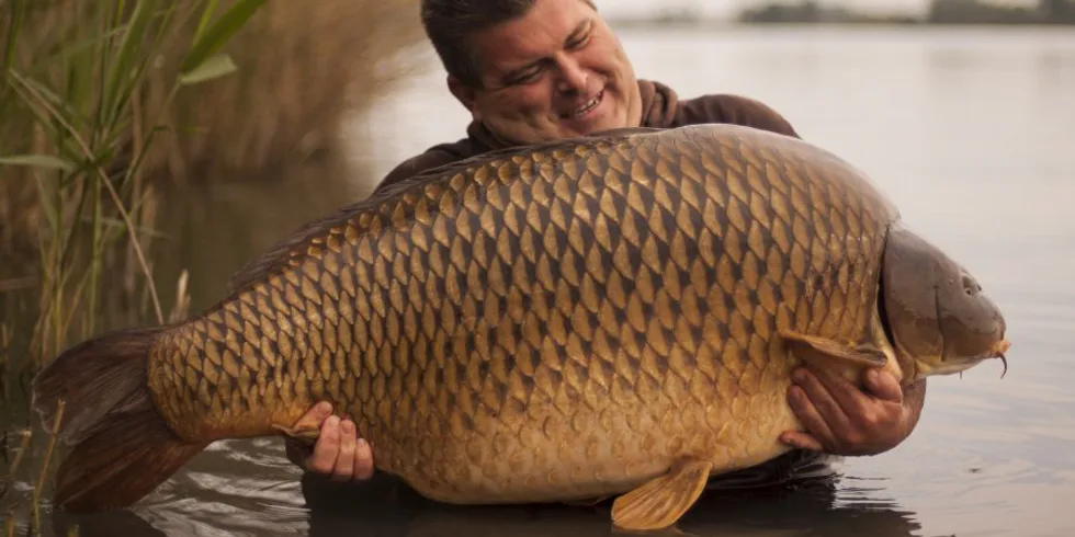 Nový maďarský rekord ze státní vody!