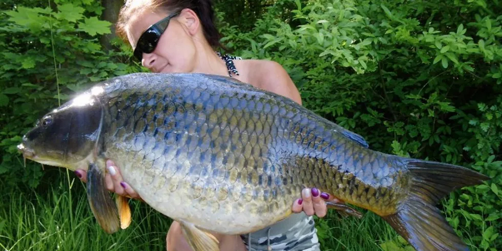 Skoro měsíc u vody!