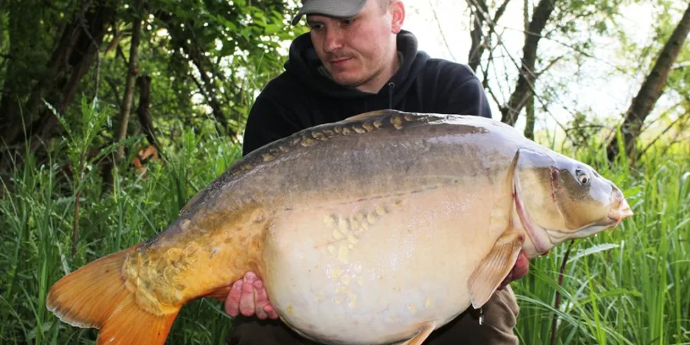 3 květnové dny v rákosí