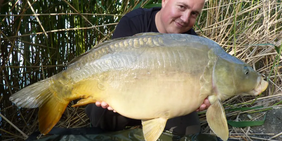 Cesta za vysneným obrom I.