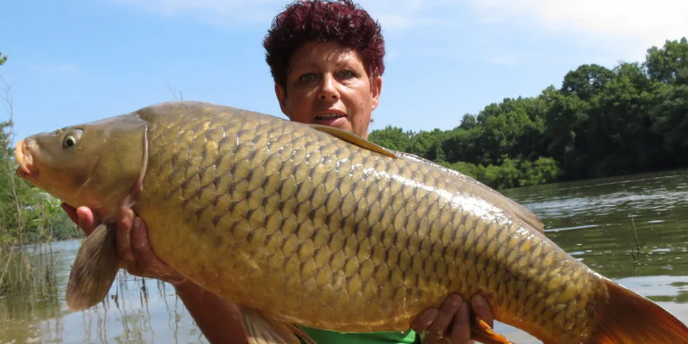 Vstříc kaprům mezi pavouky, hady a aligátory