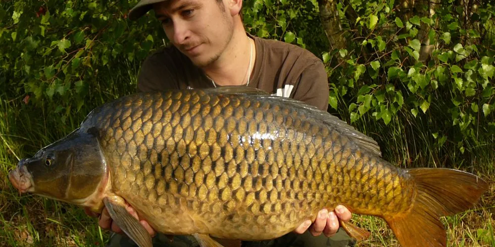 Narozeninová tadice