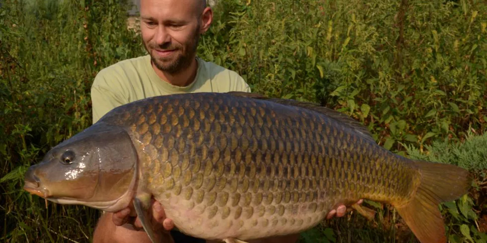 Rychlá akce na řece