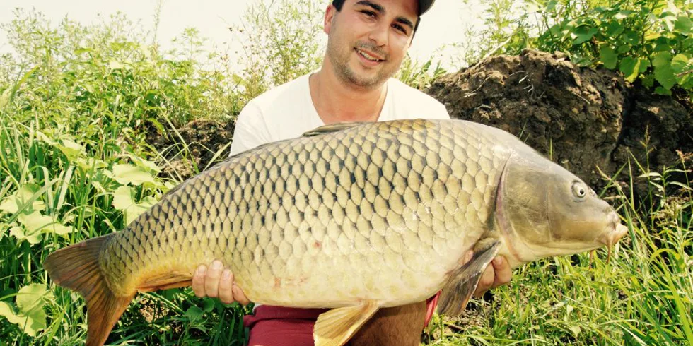 Horúčavy s extázou...