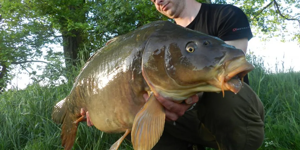 Z výrobny rovnou k řece