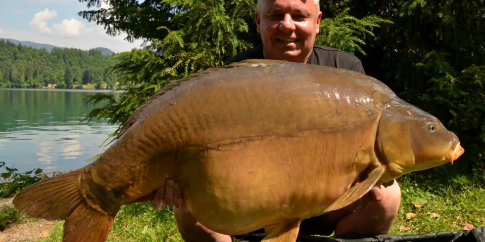 Horské jezero BLED 2015