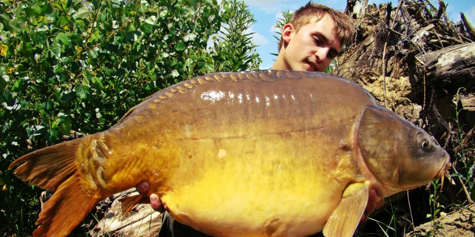 Dôslednosť sa vypláca