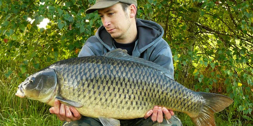 Odměna za čekání