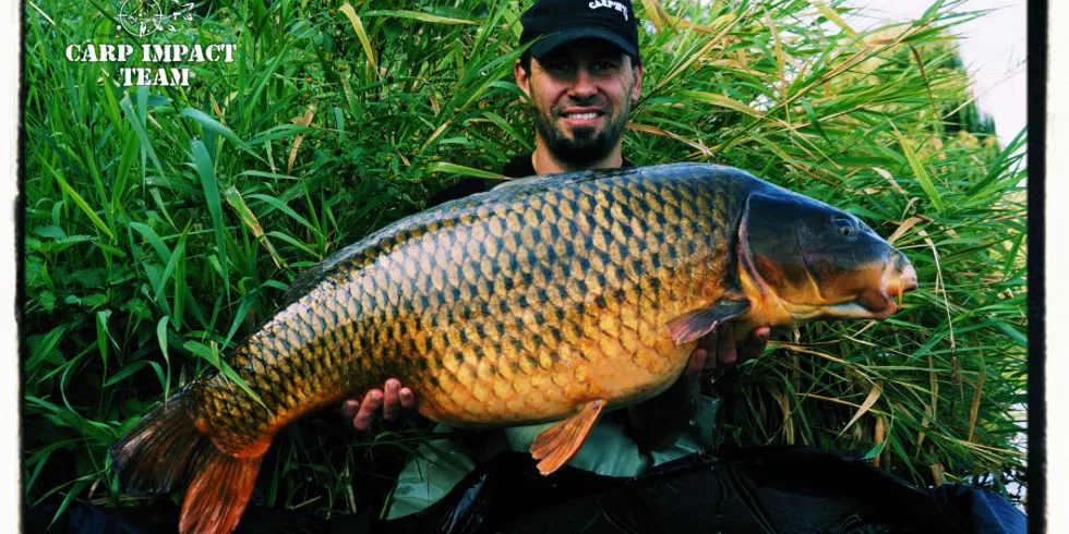 Extáze - Extasy - Extáze