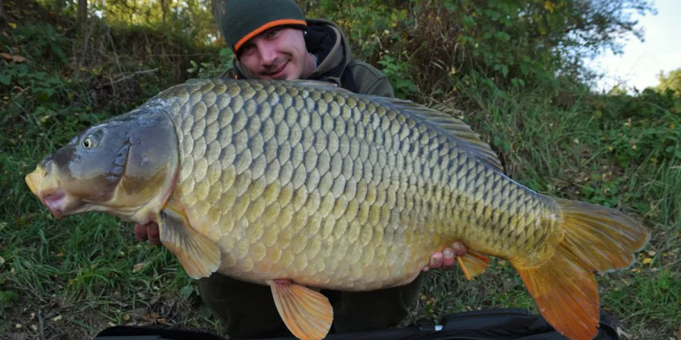 Carpkillerova podzimní sklizeň