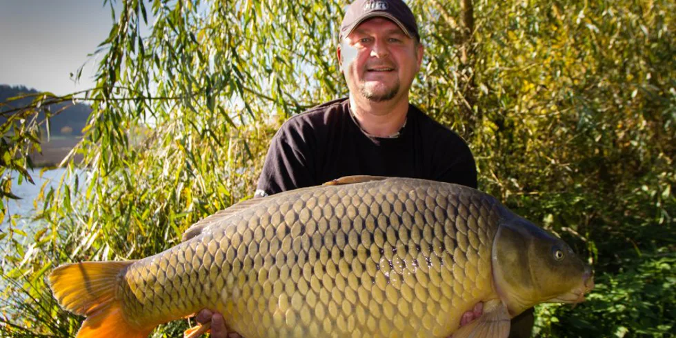 V podzimních barvách