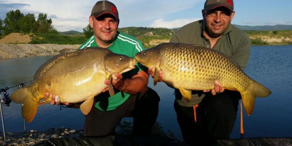 „Srdcovka“ menom GREENLAKES