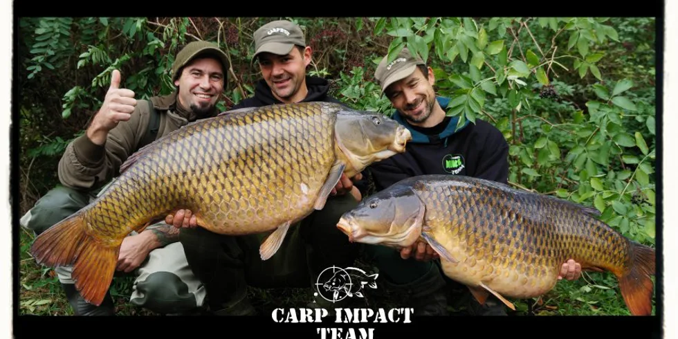 Šupinatý král Kuba