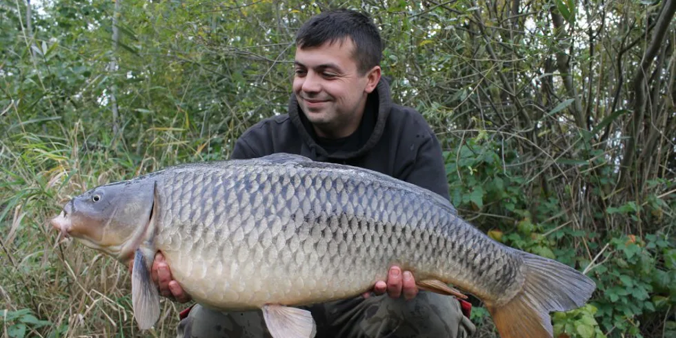 Podzimní pinpongáčova výprava