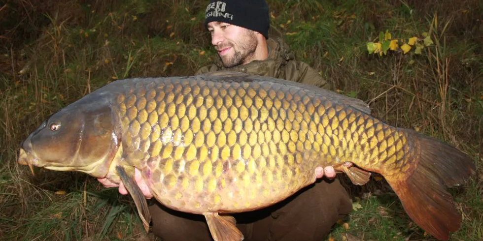 Vlastův konec roku 2015