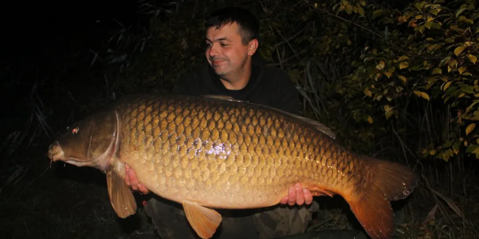 2 krátké výpravy  a nový osobák