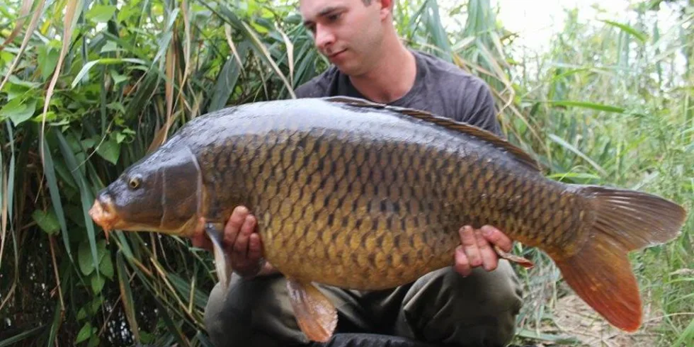 Rudovo podzimní putování