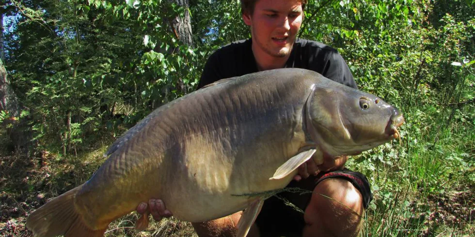 Závěrečná prázdninová výprava