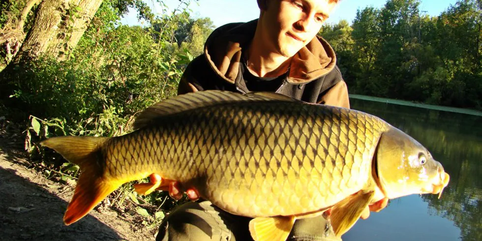 Úlomky z Malého dunaja