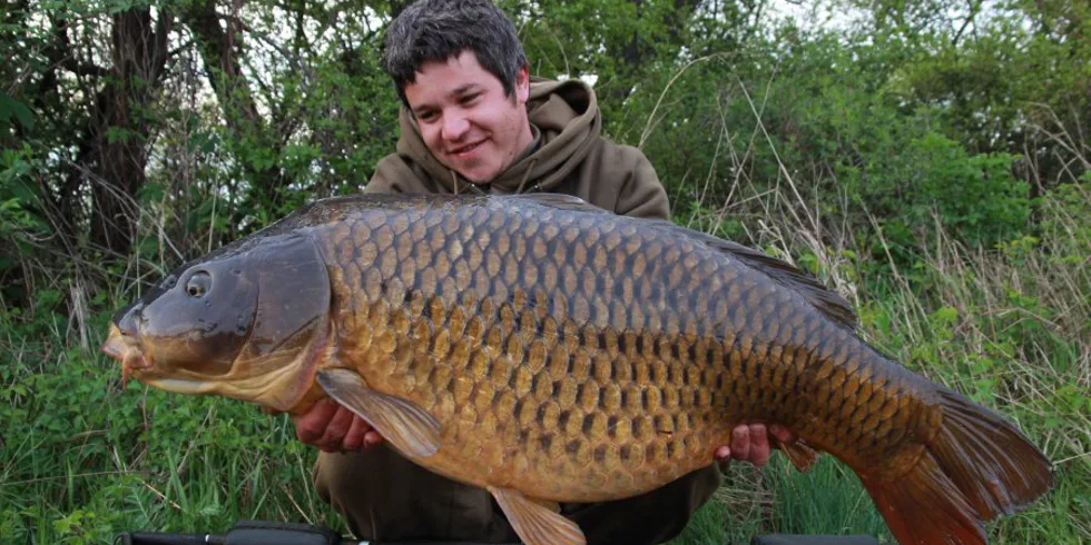 Monstrum pro Scopexe!