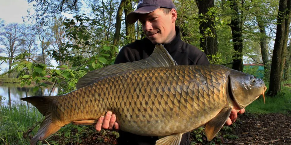 Prodloužený víkend