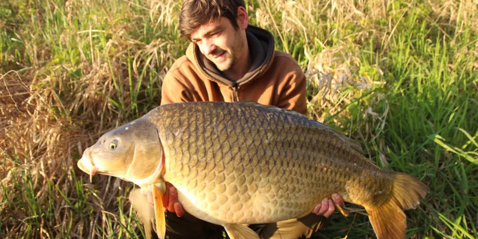 Láďovi jarní kapři