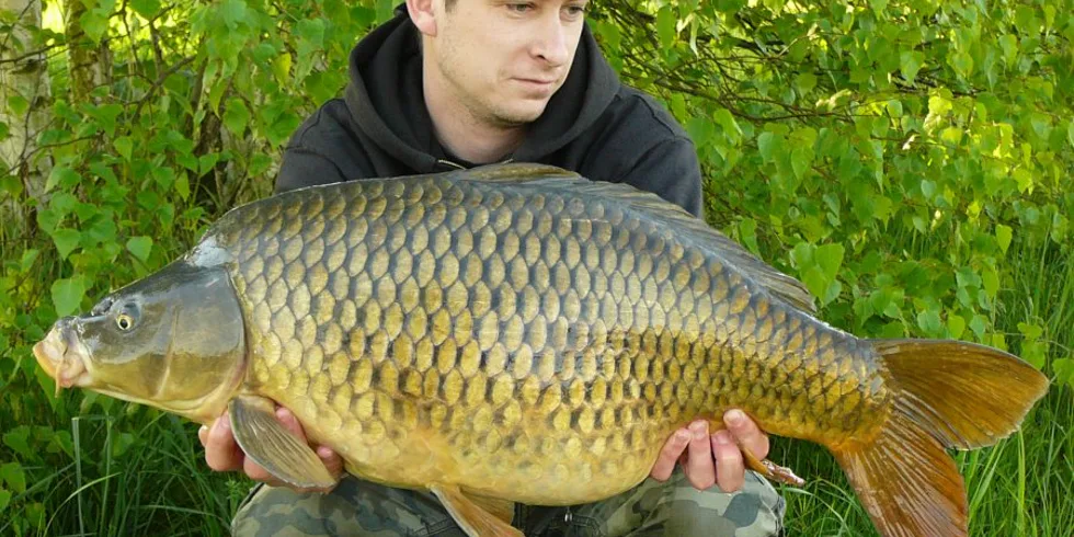 Trénink před výpravou