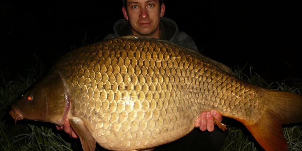 Velká výzva - 1. díl