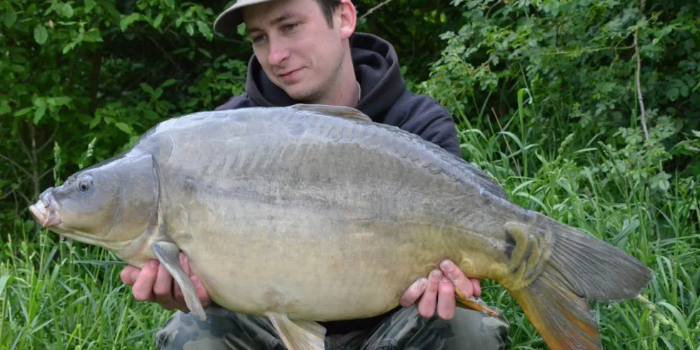 Velká výzva - 2. Díl