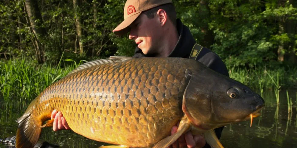 Kill Krill, jasná volba