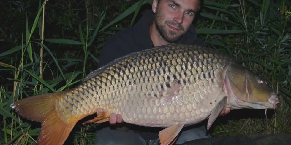 Krátké vycházky na novém revíru