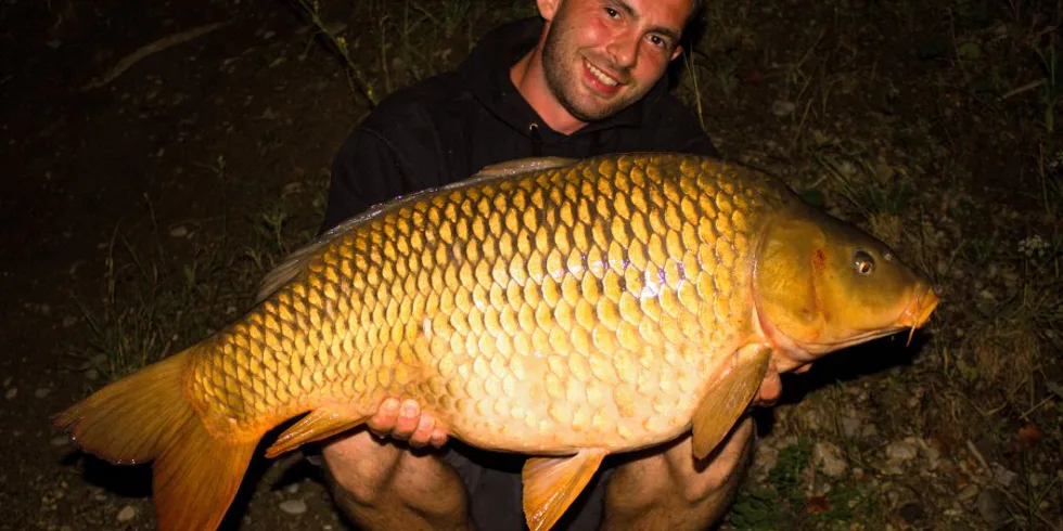 Jednonočná záležitosť