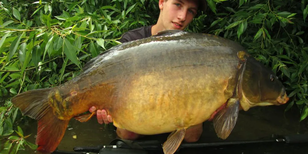 Ondrovy letní kaprolovy