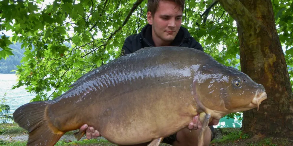 Průzračné jezero Bled