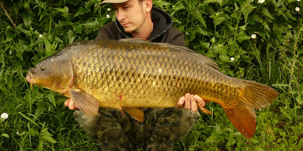 Díky za každý úlovek