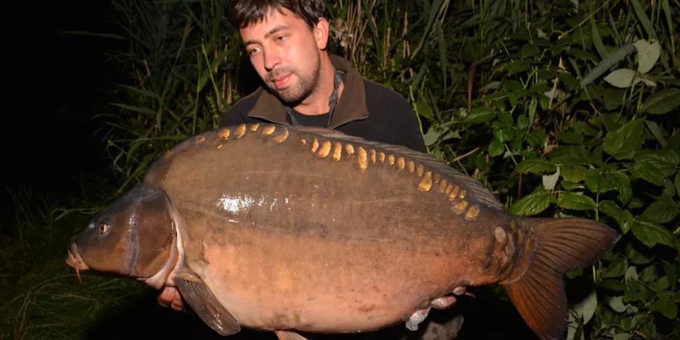 Celozávodní dovolená