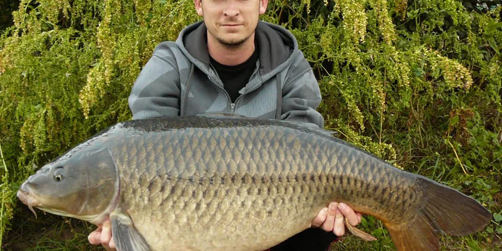 Karel Nikl - Nielbaits