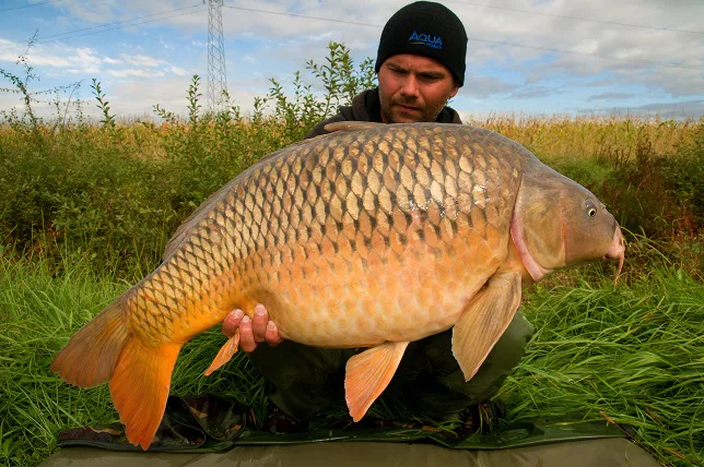 Martinova skvělá vycházka